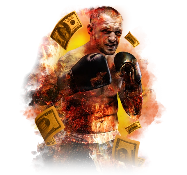 boxer